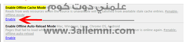 enable-offline-mode-in-google-chrome