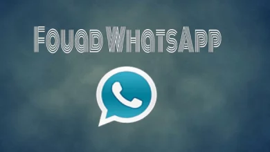 تحميل تطبيق Fouad Whatsapp للأندرويد أحدث إصدار 2018 3