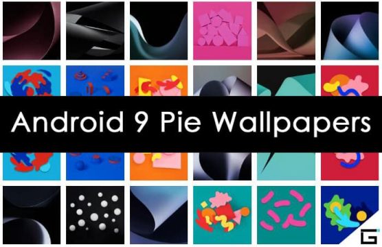 تحميل الخلفيات الرسميه لنظام أندرويد باي Android Pie بدقه عاليه 1
