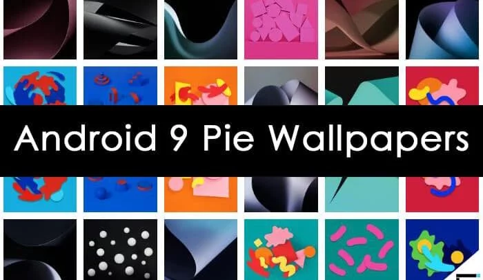 تحميل الخلفيات الرسميه لنظام أندرويد باي Android Pie بدقه عاليه 1