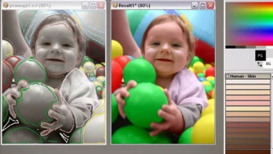 تلوين صور الأبيض والأسود بالألوان بدون برامج