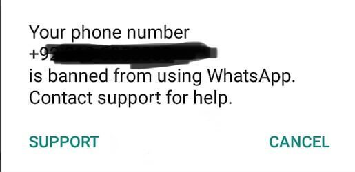 whatsapp-support-button.jpg