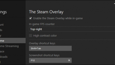 طرق عرض عدد الفريمات FPS أثناء اللعب 6