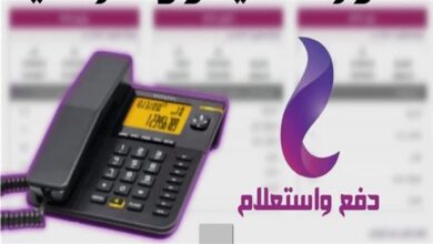خطوات دفع فواتير التليفون الأرضي في مصر: دليل تفصيلي 14 خطوات دفع فواتير التليفون الأرضي في مصر: دليل تفصيلي 14